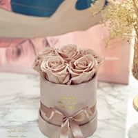 MINI BOX NUBUCK ROSES ÉTERNELLES NUDE