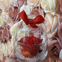 CLOCHE ROSE ÉTERNELLE