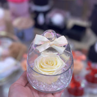 CLOCHE ROSE ÉTERNELLE